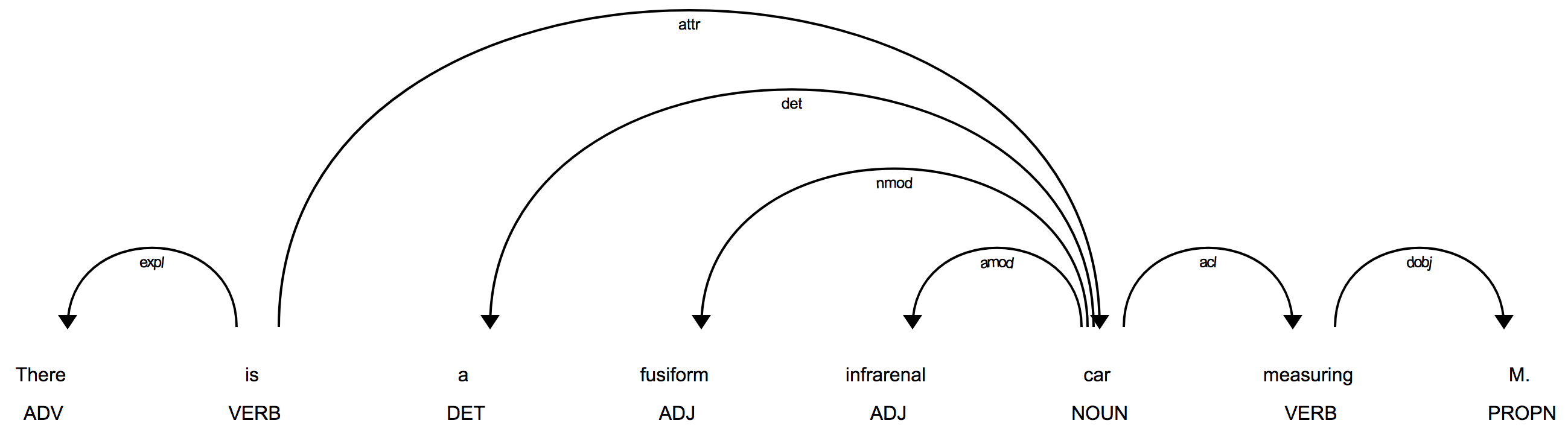../../_images/displacy_fusiform_correct.png